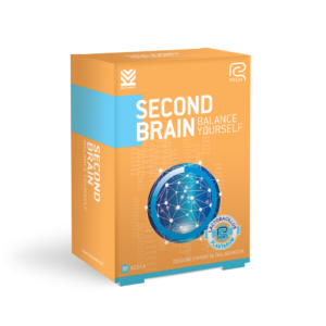 20200930124920-silica-brain